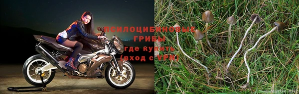 наркотики Володарск